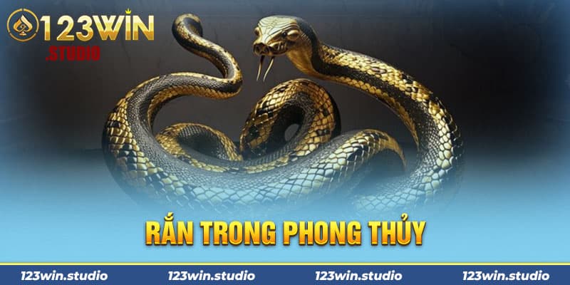 Rắn trong phong thủy