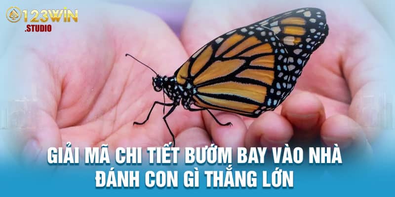 Ý nghĩa bướm bay vào nhà là gì?