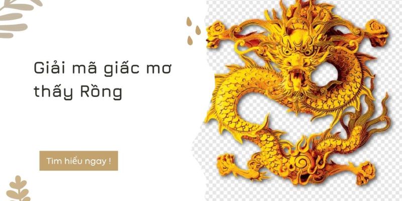 Giấc mơ thấy rồng đánh con gì?