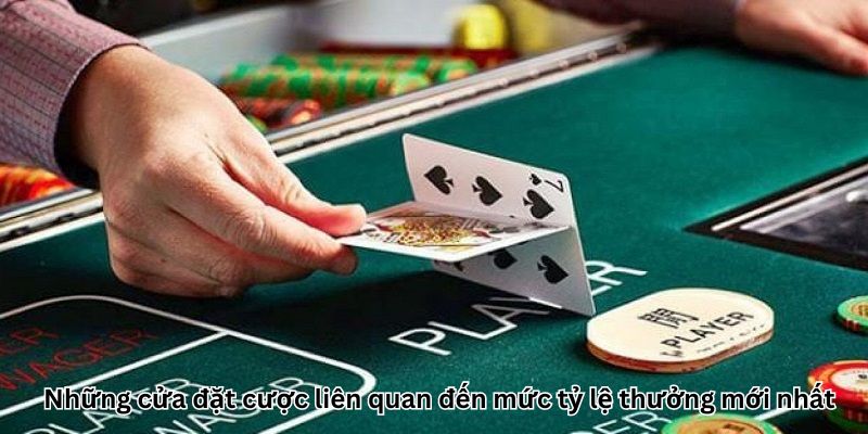 Những cửa đặt cược liên quan đến mức tỷ lệ thưởng mới nhất