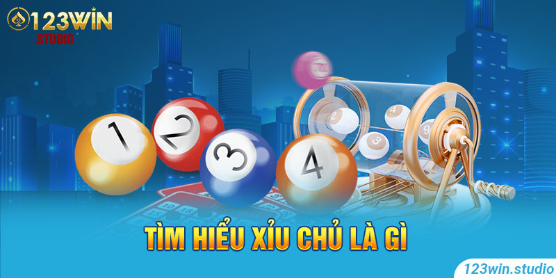 Xỉu Chủ Là Gì