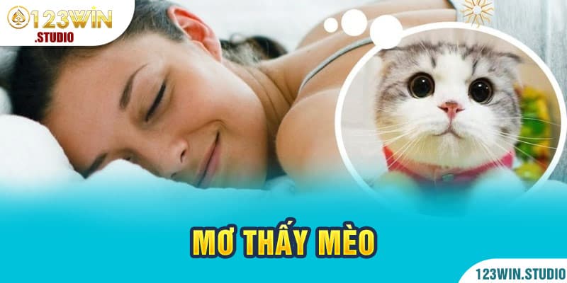 mơ thấy mèo