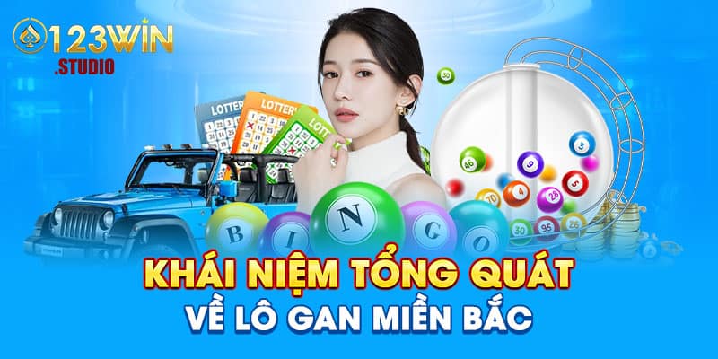 Khái niệm tổng quát về lô gan miền Bắc