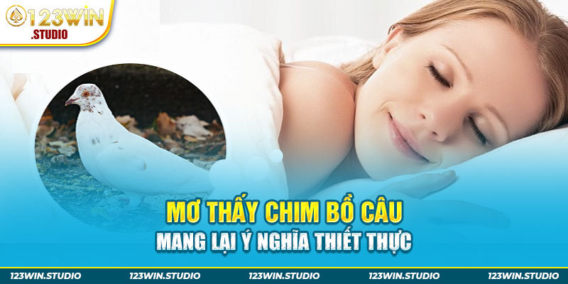 mơ thấy chim bồ câu