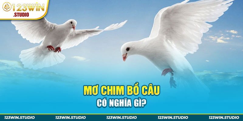 Tìm hiểu thông tin liên quan tới giấc mơ