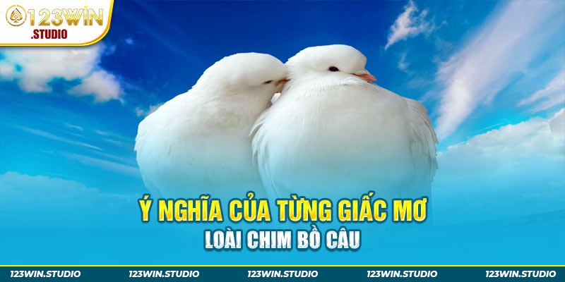 Ý nghĩa của từng giấc mơ loài chim bồ câu